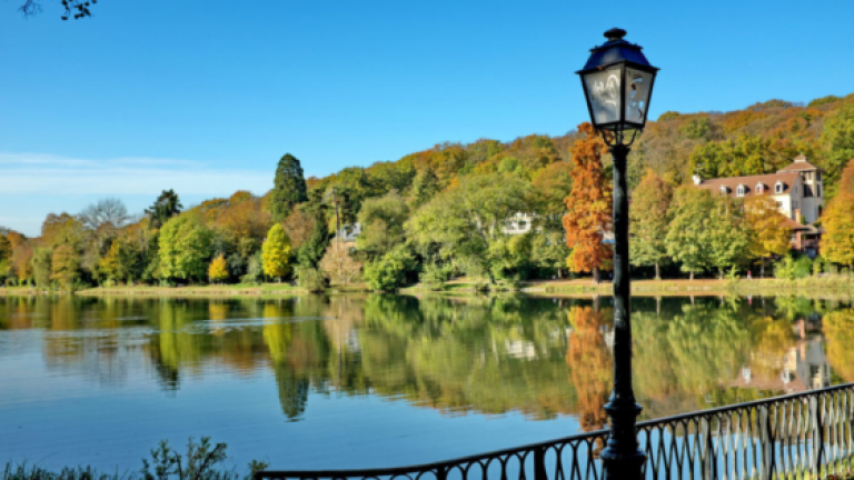 Stéphanie Mahieu : praticienne en biorésonance