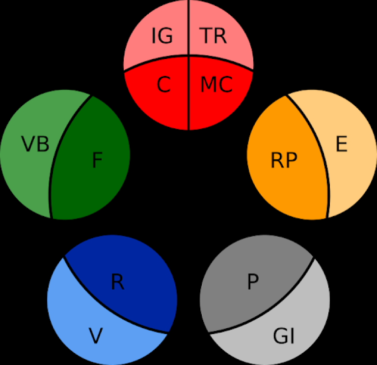 Les Métaphores pour corriger les muscles déséquilibrés du Touch For Health