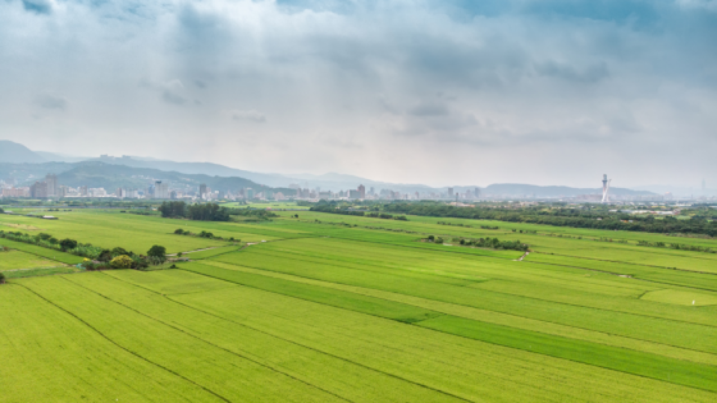 Isabelle Wincent : Thérapie individuelle, conjugale et sexothérapie