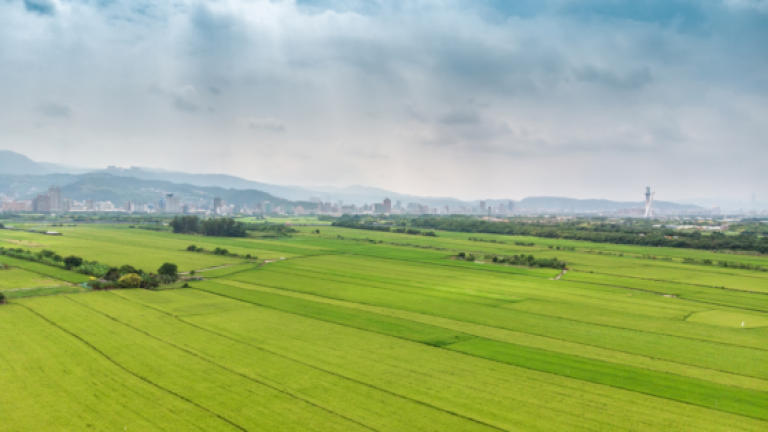 Isabelle Wincent : Thérapie individuelle, conjugale et sexothérapie